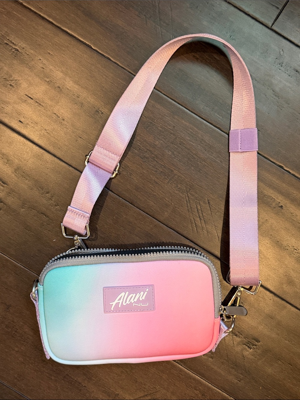 Alani Pink and Mint Ombre Crossbody Bag